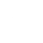 Niterra